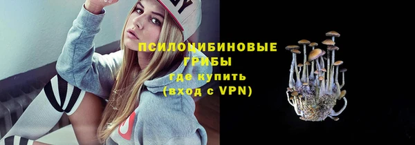 гидра Краснослободск