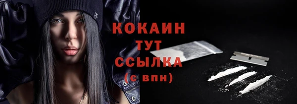 МДМА Грязовец