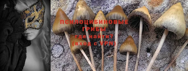 гидра Краснослободск