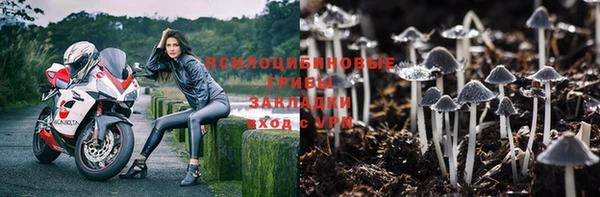 гидра Краснослободск