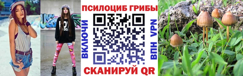 Псилоцибиновые грибы мицелий  Малая Вишера 